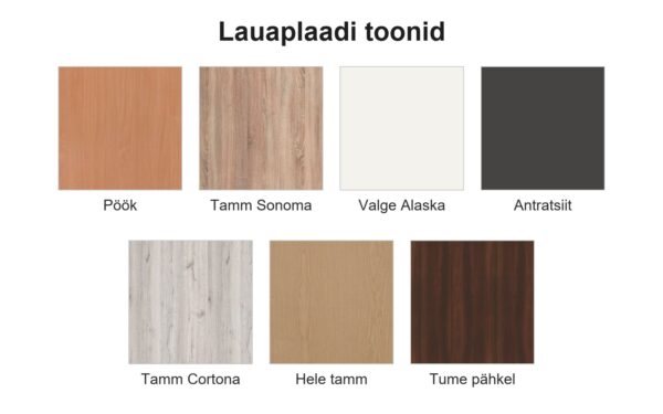 Konverentsilaua lauaplaadi toonid: pöök, tamm Sonoma, valge Alaska, antratsiit, tamm Cortona, hele tamm, tume pähkel